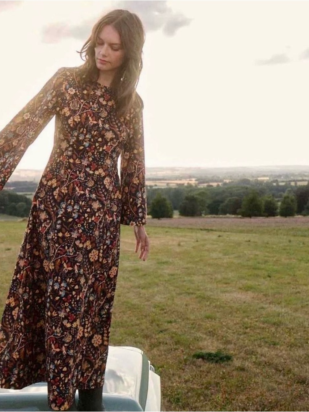 Doen Marron Dress- Midnight Toile- Medium